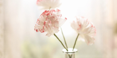 作聯新會員名單（2023年11月更新）