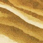 作聯35周年慶典活動通知