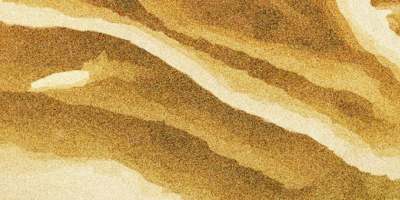 作聯35周年慶典活動通知