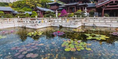 唐時風韻──九龍南蓮園池（散文詩）