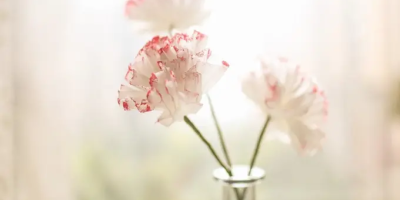 作聯新會員名單（2025年1月更新）