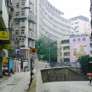 序秀蓮散文《幾回踏過雀仔橋》