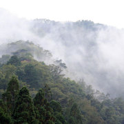 我自東方來、九月傳說