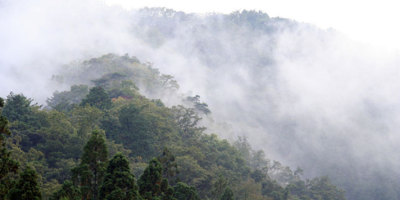 我自東方來、九月傳說