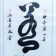 「神奇第一善」發明記略