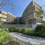 稍留香江絕句三首，詩用覃韻（外二首）