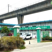 憶父說曾老寫「橋」