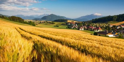 麥田和村莊（外三首）