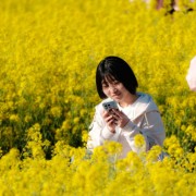 說清明．談美學