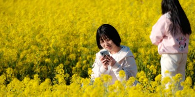 說清明．談美學