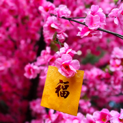 知識、財富越多，越幸福、快樂