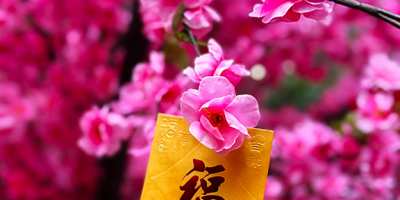 知識、財富越多，越幸福、快樂