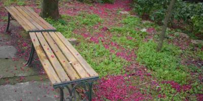 曾老精神長在歌