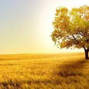 新墳祭掃感懷二首