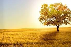 新墳祭掃感懷二首