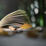 讀書偶題（外三首）