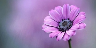 香港青年古典詩創作作品舉隅1