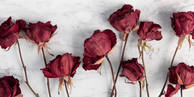 香港青年古典詩創作作品舉隅6