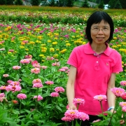 島城：愛的詠歎調 ——序吳佩芳的長篇《秋山紅葉》