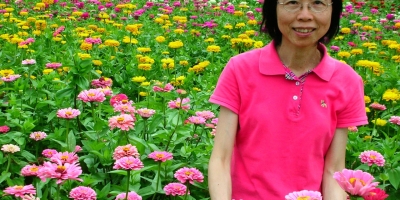 島城：愛的詠歎調 ——序吳佩芳的長篇《秋山紅葉》