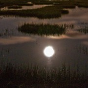 明月．碧海．走馬燈（外二首）