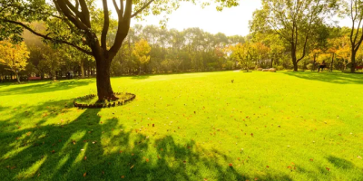 《香港作家》網絡版第三十四期（2025年8月號）徵稿