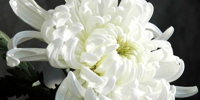 懷念祖父祖母，衍為長句