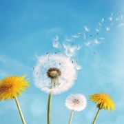 編後語：懷念蔡瀾與鄭愁予先生