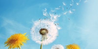 編後語：懷念蔡瀾與鄭愁予先生