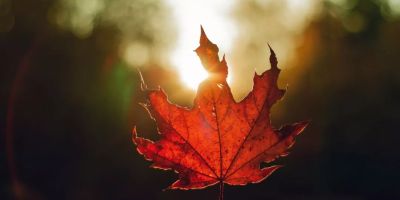 卷首語：懷念的人  如詩的骨血