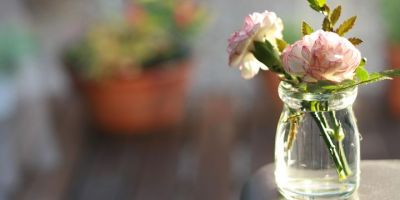 卷首語：尋找那一縷不滅的光