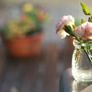 卷首語:尋找那一縷不滅的光