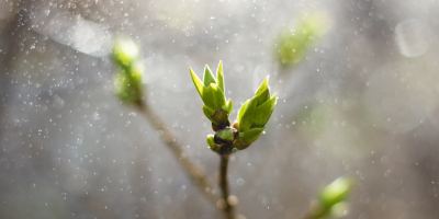 《香港作家》網絡版第三十五期（2025年10月號）徵稿