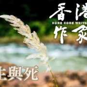 《香港作家》網絡版第三十五期(2025年10月號)