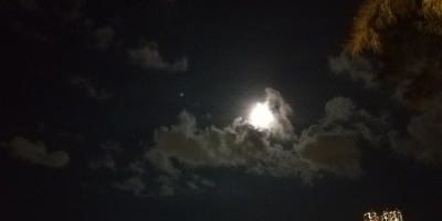 月夜懷人、秋曉、璞社情