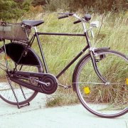 騎單車的悠悠年月