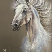 原風景·詩風景·夢風景——評楊夢茹詩畫