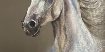 原風景·詩風景·夢風景——評楊夢茹詩畫