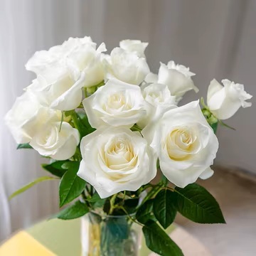 告別李天命老師