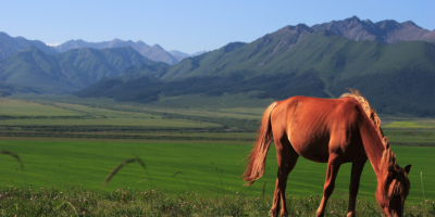 編後語：一場關於奮鬥與欣欣向榮的美麗寓言