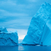 請留下那片純淨