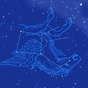 迎馬年(外二首)