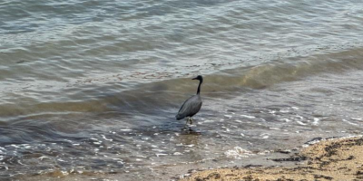 春風吹過的孤獨是溫暖