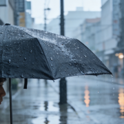 聽雨