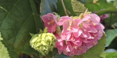 讀杜牧之揚州詩、今生約