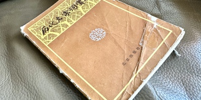 摩挲——我的文學記憶