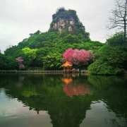 三笑結下陌路緣——關於我創作歲月甘苦歷程的一段印記