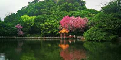 三笑結下陌路緣——關於我創作歲月甘苦歷程的一段印記