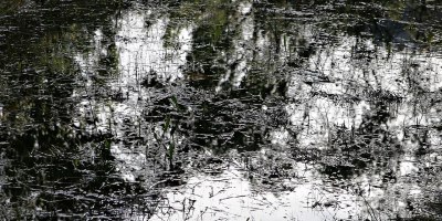 讓油膩織一層羅綺