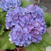 故宮展覽二題八詠錄一題四詠